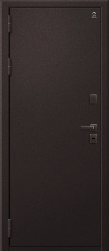 Дверь для улицы с терморазрывом Т-6/1, внешняя антик-медь с зеркалом, Центурион