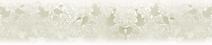 SP107