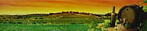 SP-природа/4100руб.