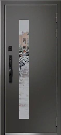 Веста-100 биометрия стеклопакет